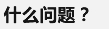 什么问题？